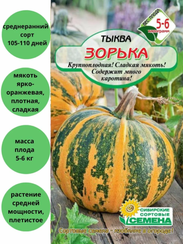 Семена тыква зорька 5шт